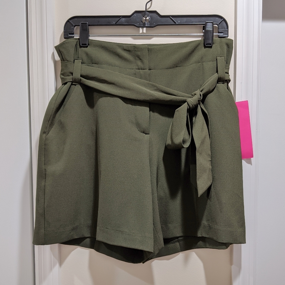 NY&Co 7th Avenue 6 Inch Tie Belt Madie Short